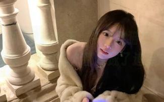 导航在手，今日胖猫在51吃瓜当星星，吃瓜群众都变成了追星族！