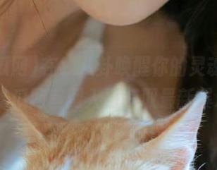 在线八卦唤醒你的灵魂，快来51吃瓜网官网入口获取最新暴料！