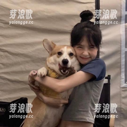 五一吃瓜 “五一吃瓜”的永久更新太给力,这次的大瓜就像过山车,起伏不定。