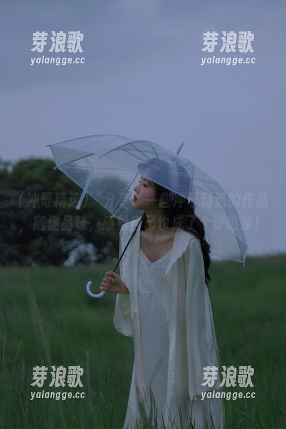 “分享”一些冲哥精选的作品，随便品味，感觉自己也成了个评论家！