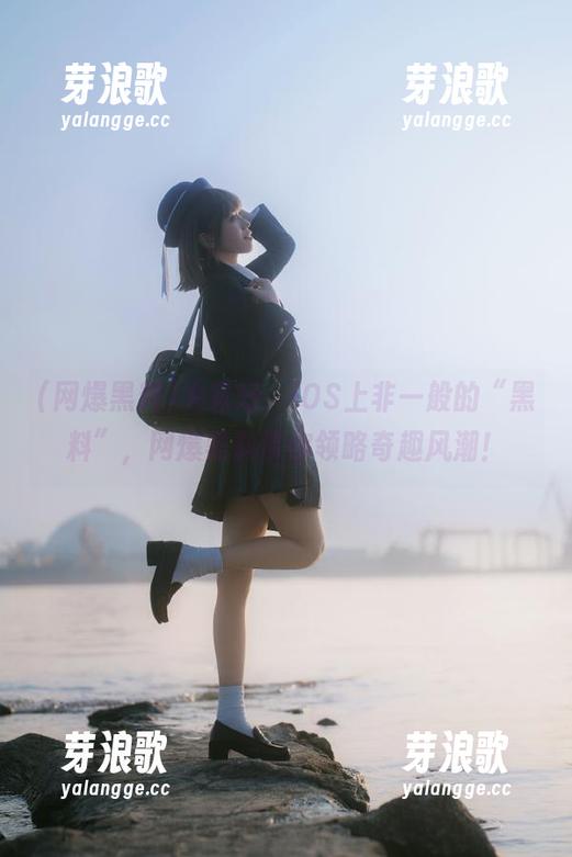 大家好，iOS上非一般的“黑料”，网爆黑料带你领略奇趣风潮！
