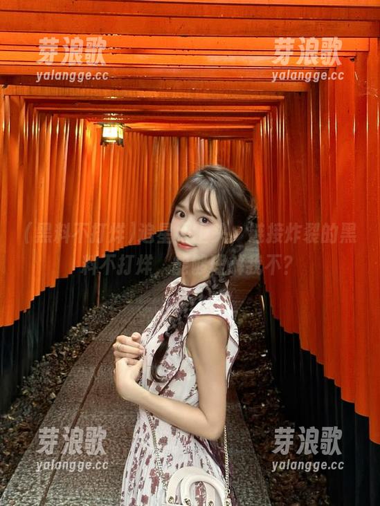 追星太上头，链接炸裂的黑料不打烊，能够理解我不？