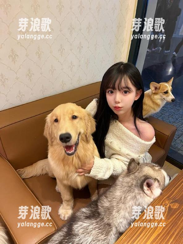 猛戳黑料不打烊官网，鲤鱼门视频真有料，完全不敢相信！