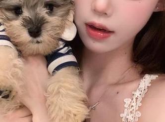 更新后的tttzzz668.su黑料不打烊网页，让我在苹果端浑身不自在！