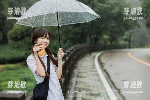 黑料社 下载个“黑料社app”,我感觉我的好奇心被无限放大了!