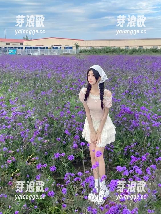 黑料老司机 不打烊的黑料老司机,这条链接能干嘛?